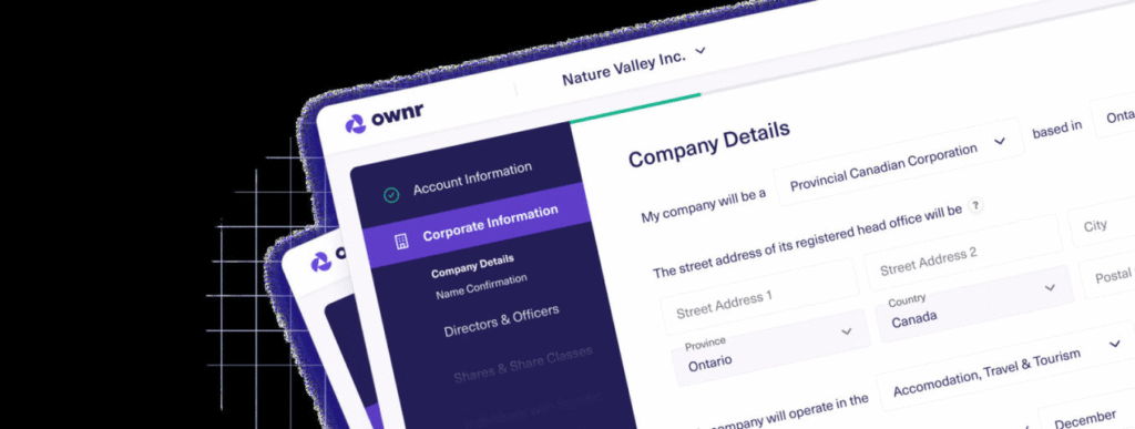 A Closer Examination of Online Business Formation Systems: The Case of Ownr